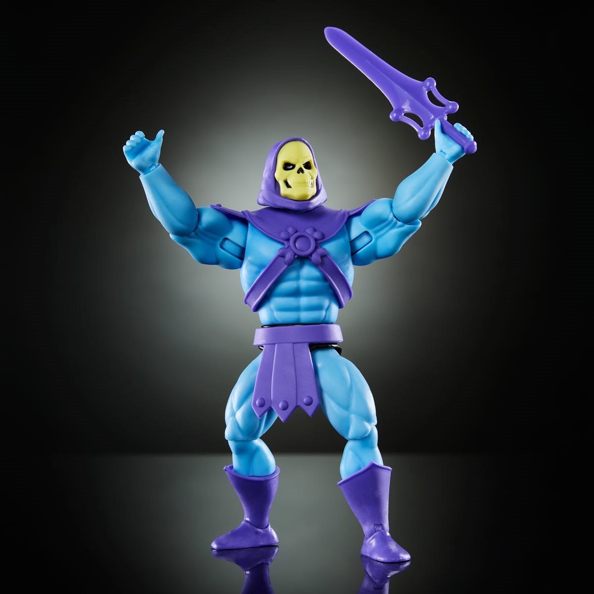 Filmation hot sale skeletor figure